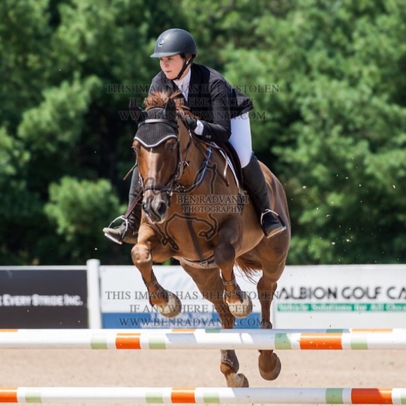 Meet your Posher, Sarah - Picture 4 of 4